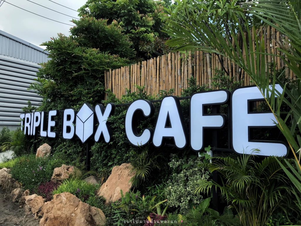 Triple Box Cafe คาเฟ่ร่มรื่น  พื้นที่สีเขียว 