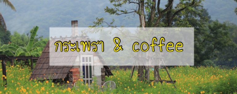 กระเพรา & coffee คาเฟ่สวยสุดโรแมนติก กลางทุ่งดอกดาวกระจาย @ลพบุรี