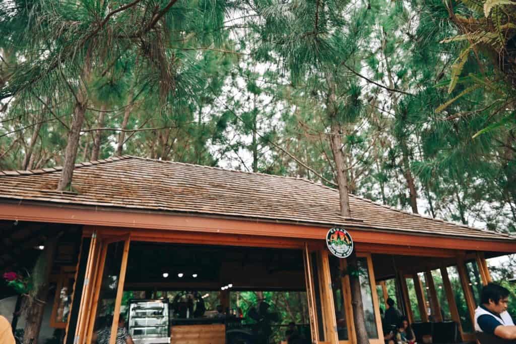 CEDAR ป่าสน CAFE คาเฟ่ในป่าสน