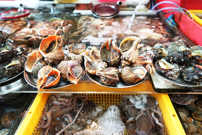 ตลาดปลาจากัลป์ชี เมืองปูซาน น่าเที่ยว